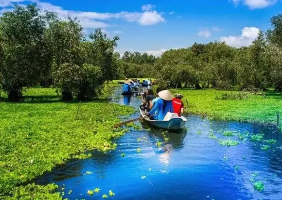 Tin tức