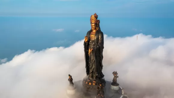 Tin tức