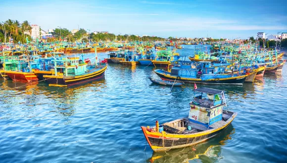 Tin tức