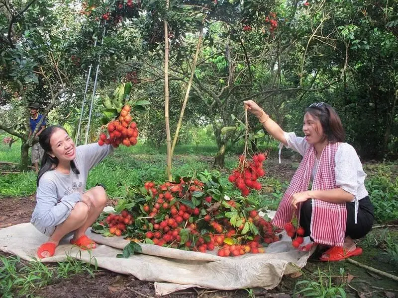 Chợ L&aacute;ch &ndash; Miệt Vườn Bến Tre