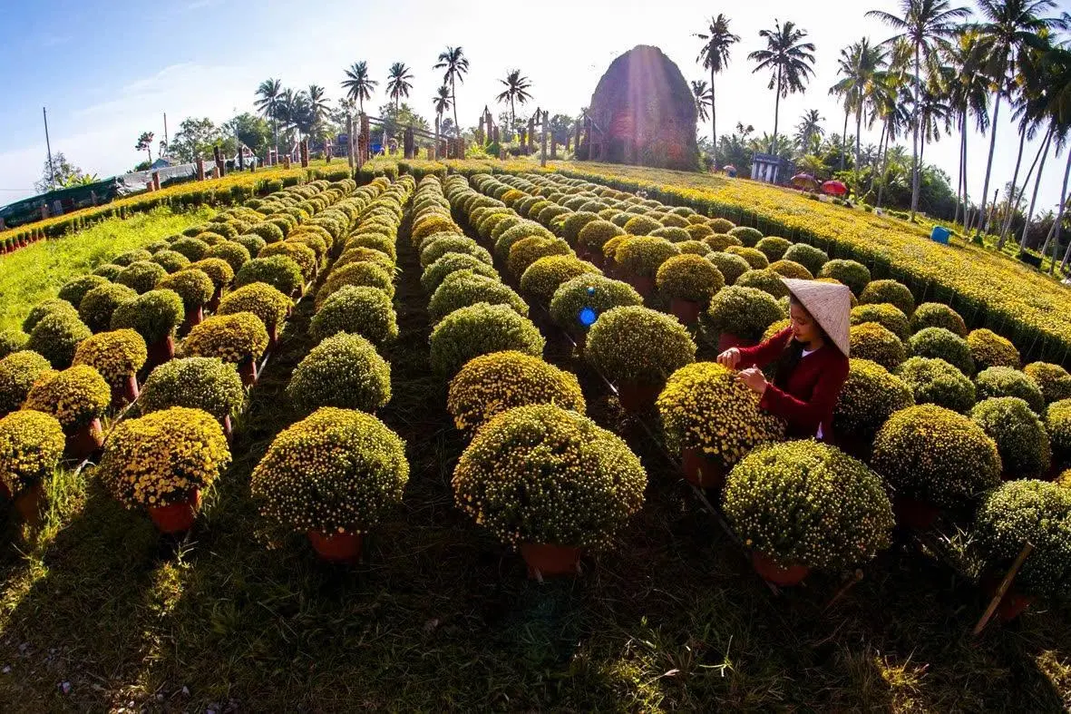 Chợ L&aacute;ch &ndash; Miệt Vườn Bến Tre