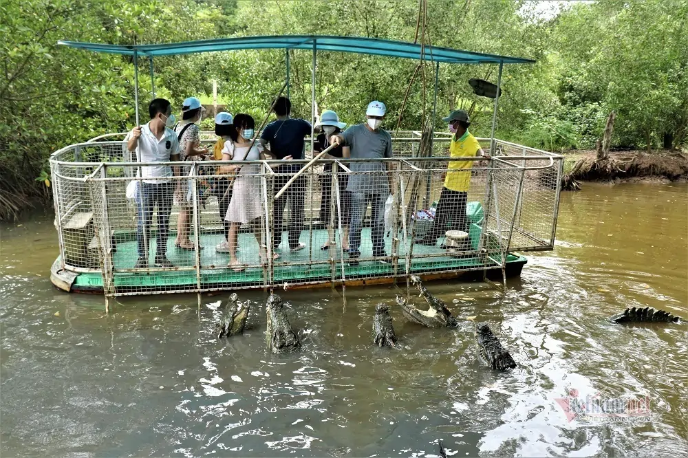 thuê xe 7 chỗ đi Cần Giờ