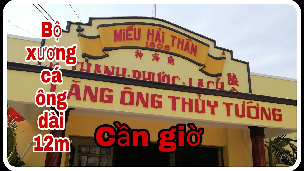 thuê xe 7 chỗ đi Cần Giờ
