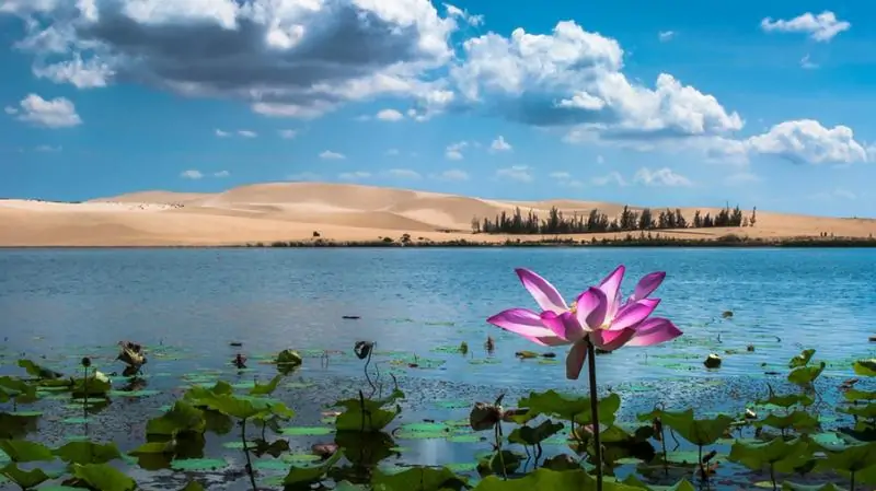 Thuê xe đi Phan Thiết giá rẻ