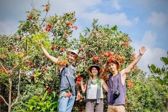 Vườn Tr&aacute;i C&acirc;y Cần Thơ
