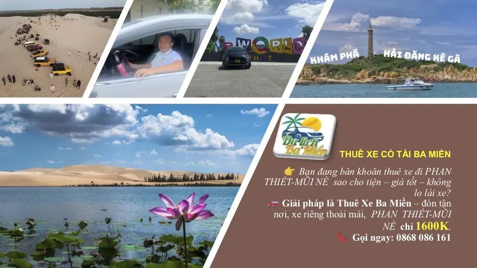 7-seater car rental with driver in Ho Chi Minh City